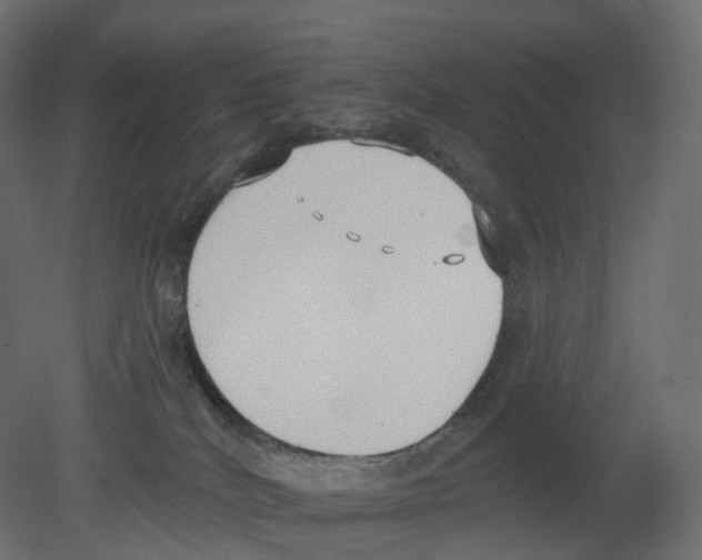 X0000080670040200701121644