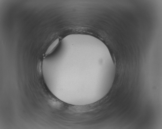 X0000080670041200701121644