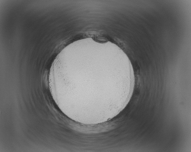 X0000080670042200701121644