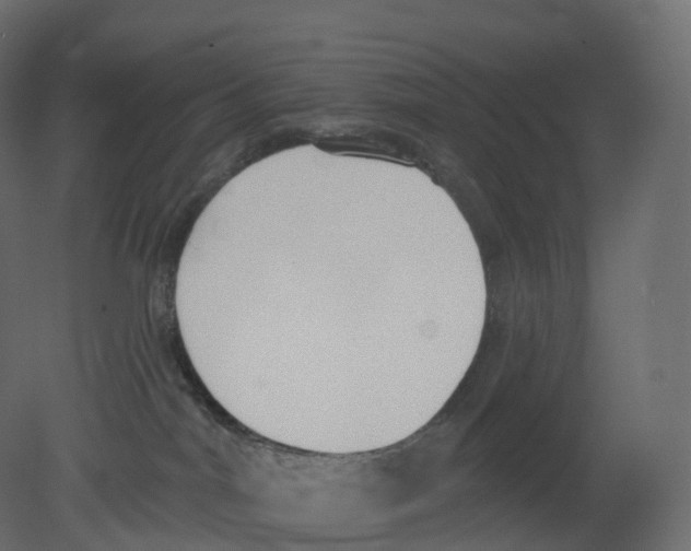 X0000080670044200701121644