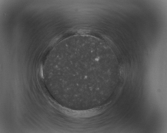 X0000080670046200701121644