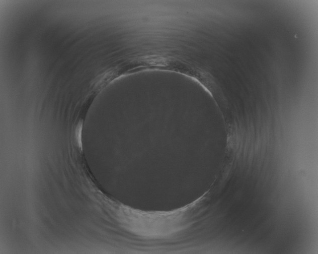 X0000080670047200701121644