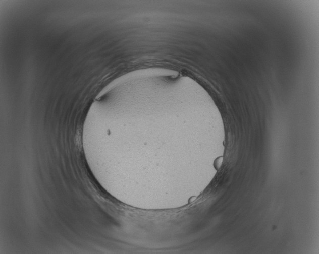 X0000080670048200701121644