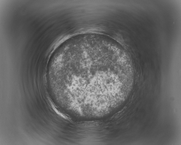 X0000080670050200701121643