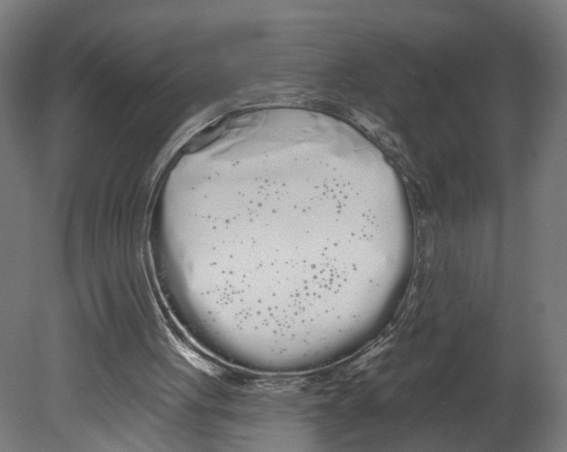 X0000080670051200701121643