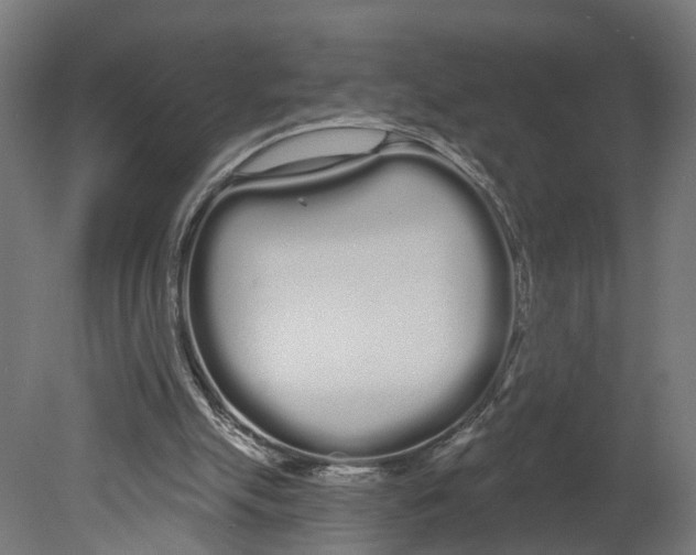 X0000080670055200701121643