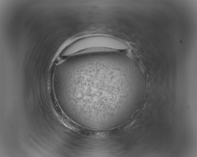 X0000080670056200701121643