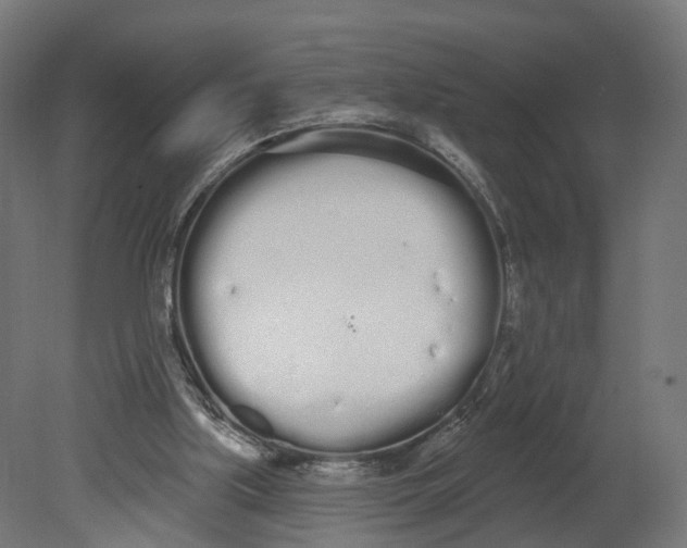 X0000080670059200701121643