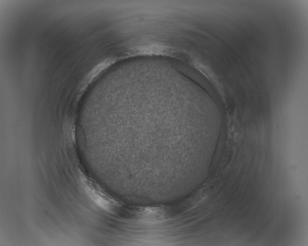 X0000080670060200701121643