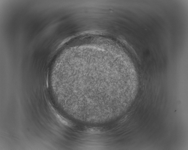 X0000080670062200701121643