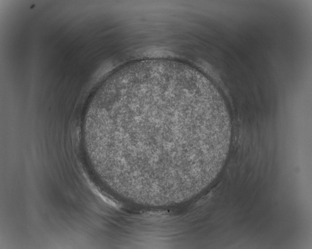 X0000080670063200701121643