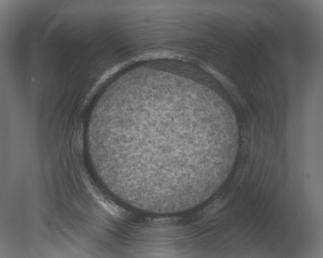 X0000080670064200701121643