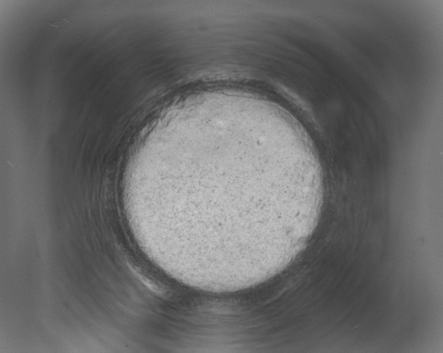 X0000080670065200701121643