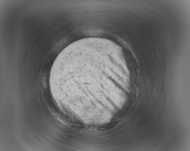 X0000080670069200701121643