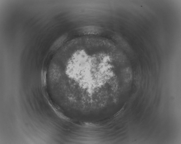 X0000080670070200701121643