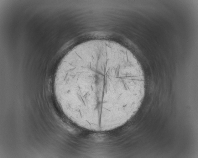 X0000080670071200701121643