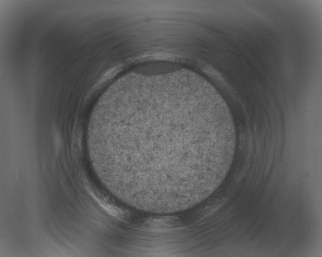 X0000080670072200701121643