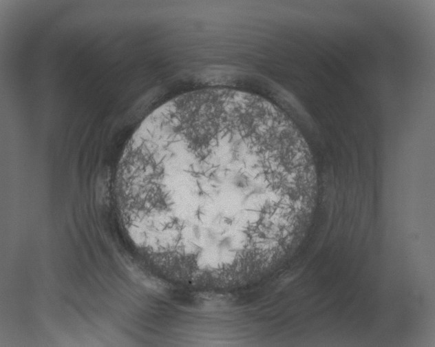 X0000080670073200701121643