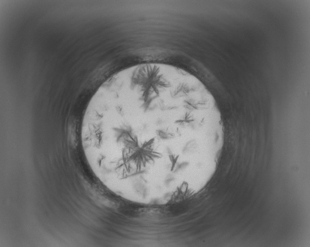 X0000080670074200701121643