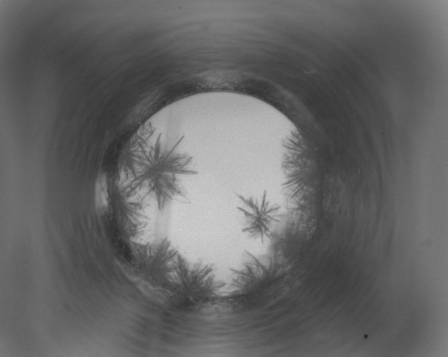 X0000080670075200701121643