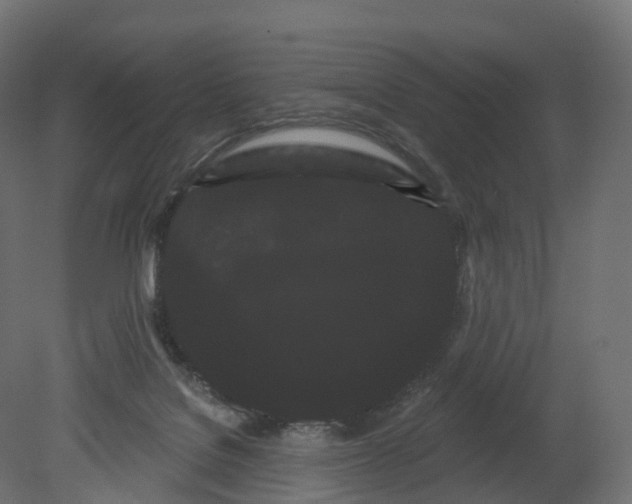 X0000080670076200701121643