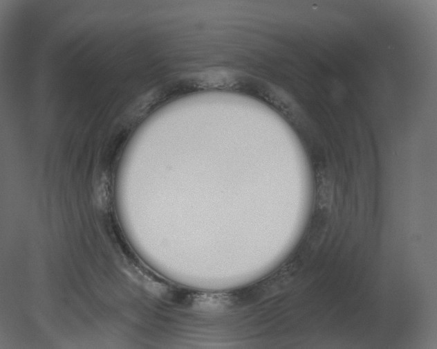 X0000080670077200701121643