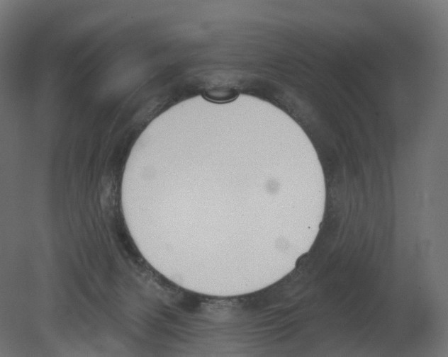 X0000080670079200701121644