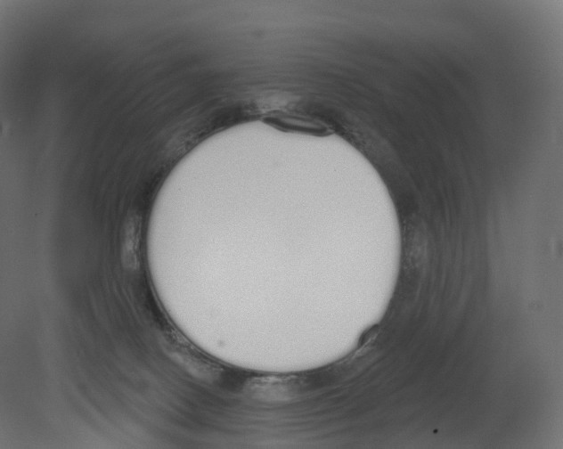 X0000080670082200701121644