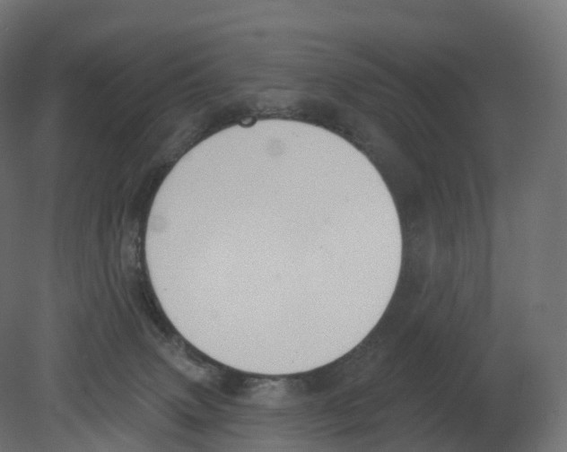 X0000080670083200701121644