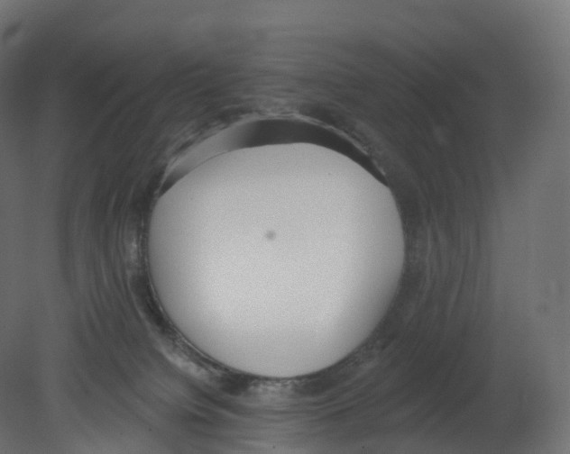 X0000080670084200701121644