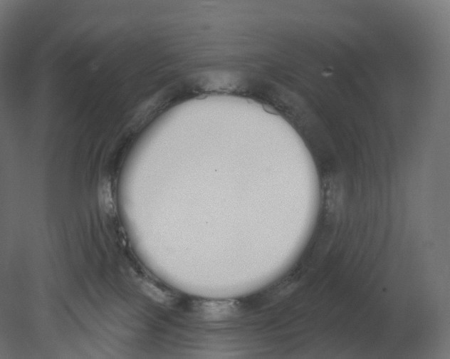 X0000080670089200701121644