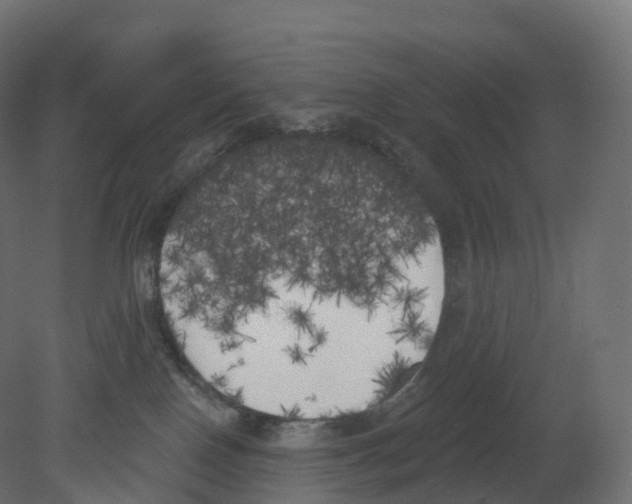 X0000080670090200701121644