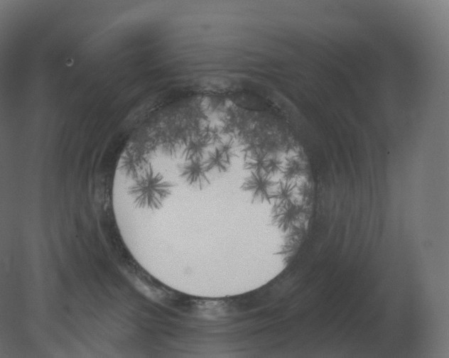 X0000080670091200701121644