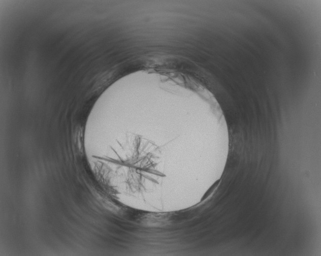 X0000080670094200701121644