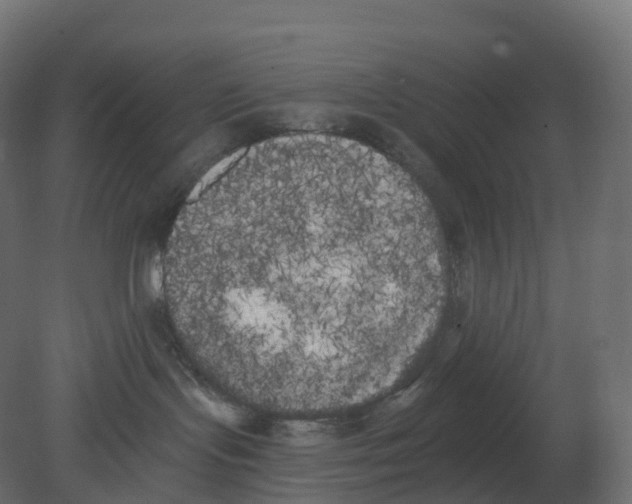 X0000080670095200701121644