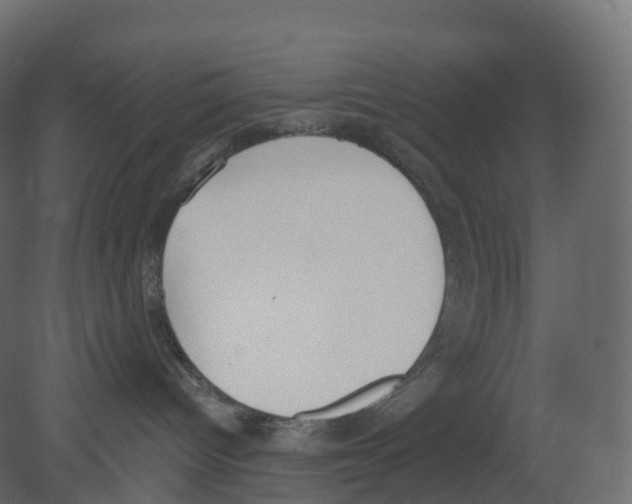 X0000080670096200701121644