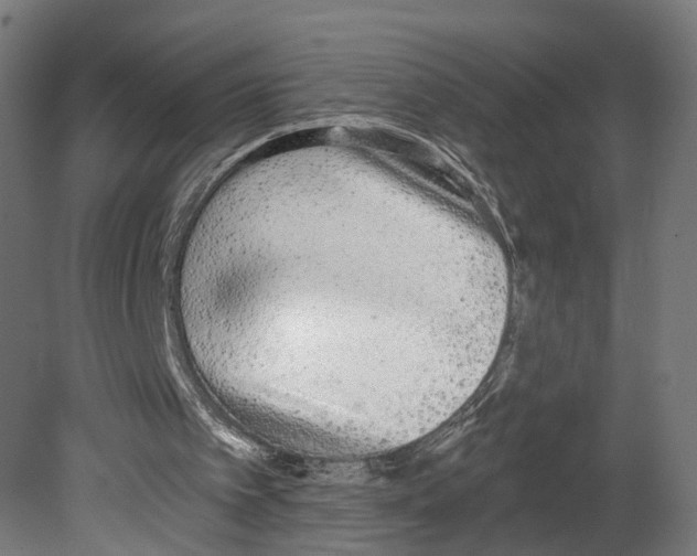 X0000080670097200701121643