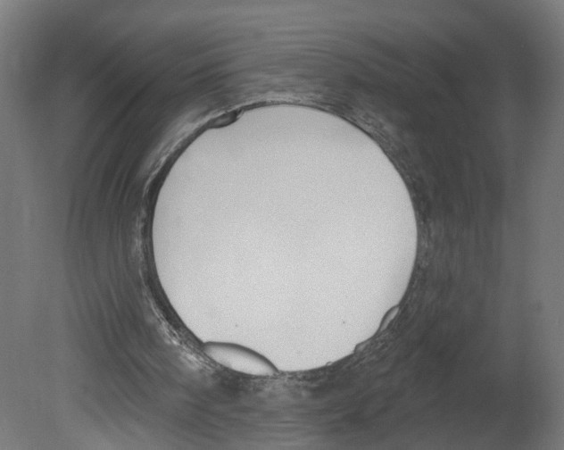 X0000080670098200701121643