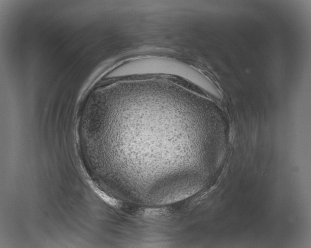 X0000080670101200701121643