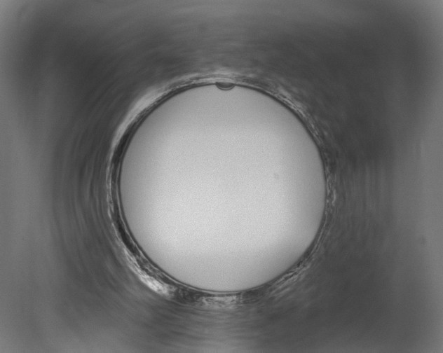 X0000080670102200701121643