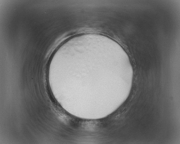 X0000080670103200701121643