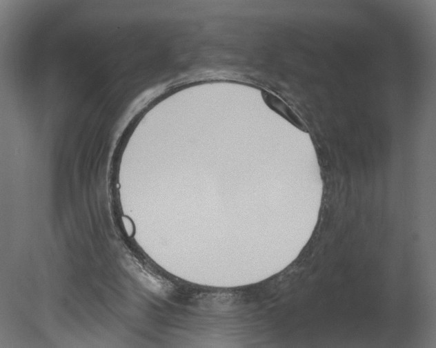 X0000080670104200701121643