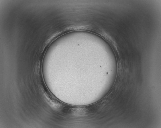 X0000080670107200701121643