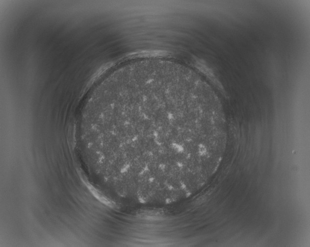 X0000080670110200701121643