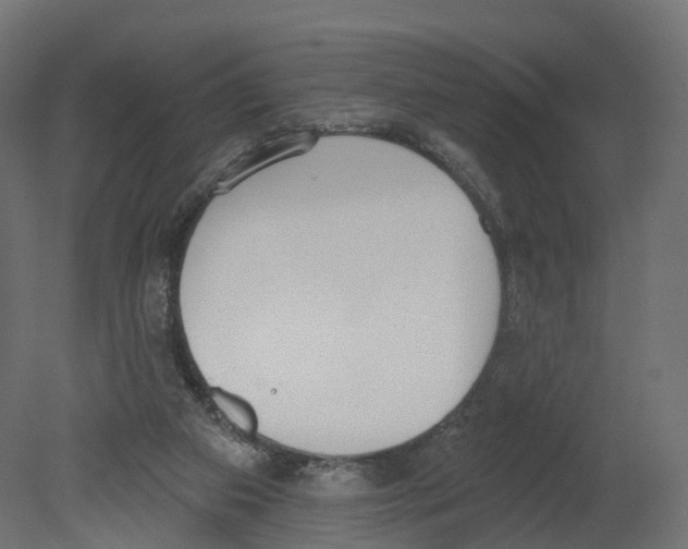 X0000080670113200701121643