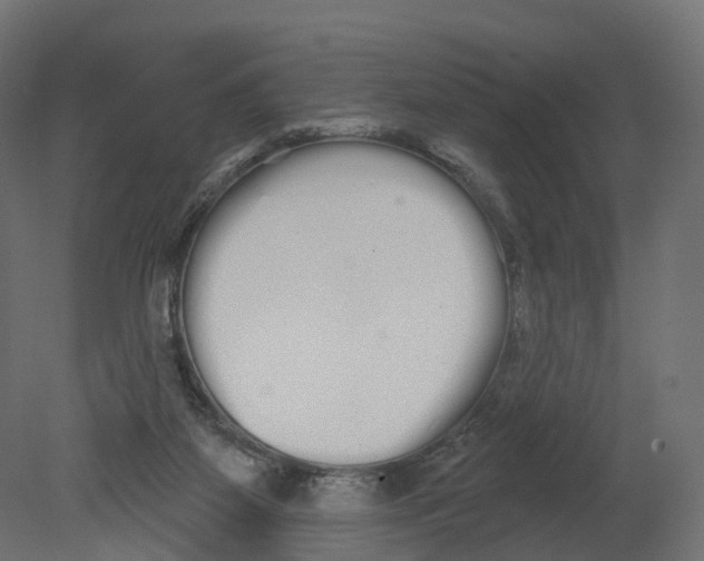 X0000080670115200701121643