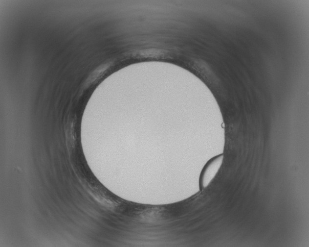 X0000080670116200701121643