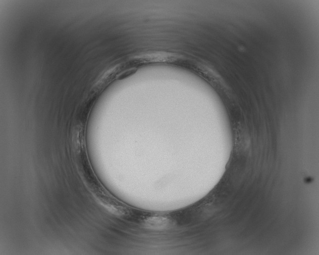 X0000080670119200701121643