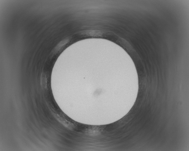 X0000080670120200701121643