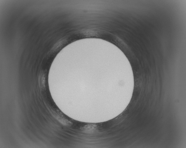 X0000080670124200701121643